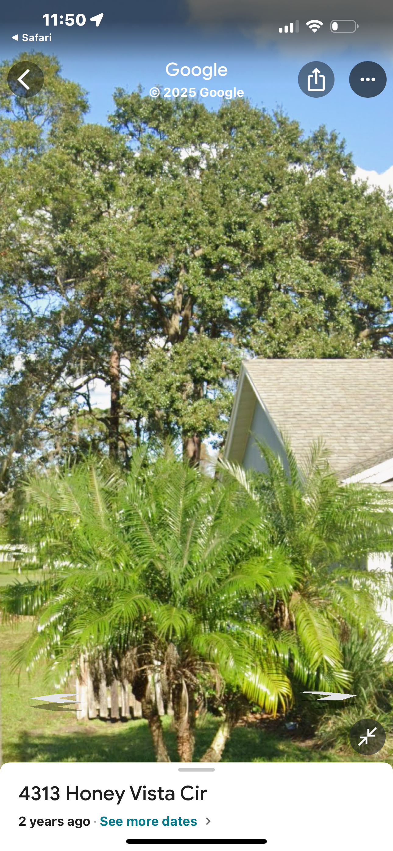 Lawn maintenance and landscaping